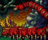 Scoopendre d'Astyanax